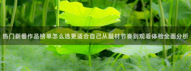 动漫网网站