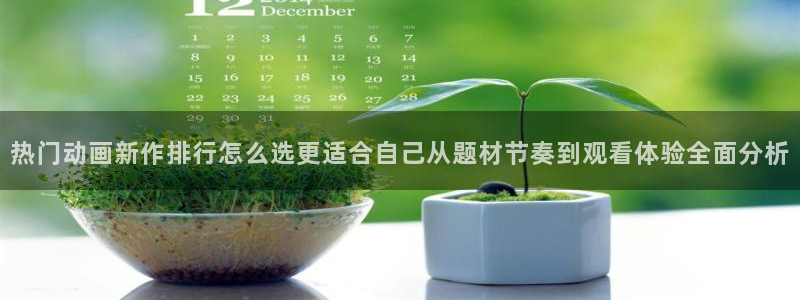 新番动画排行