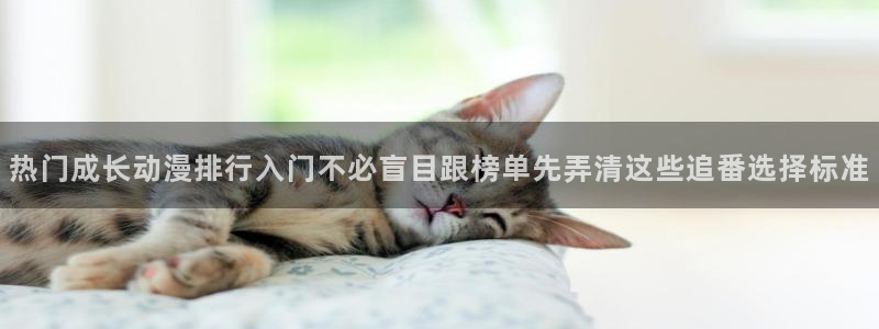 动漫网导航