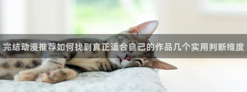 动漫网在线入口