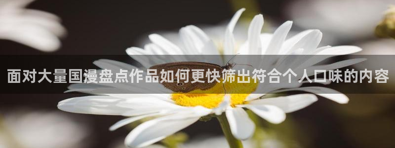 动漫内容导航