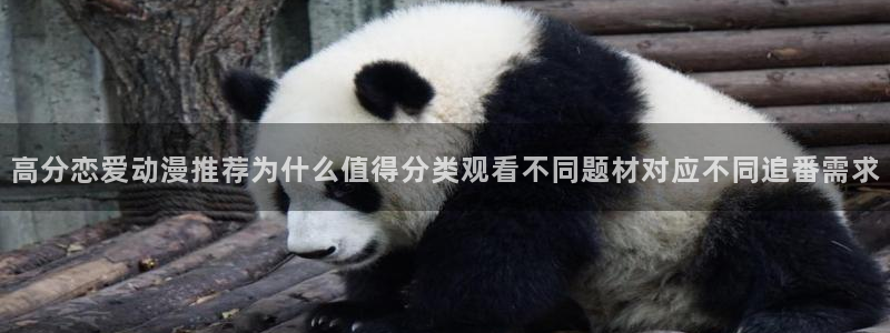 动漫评分榜