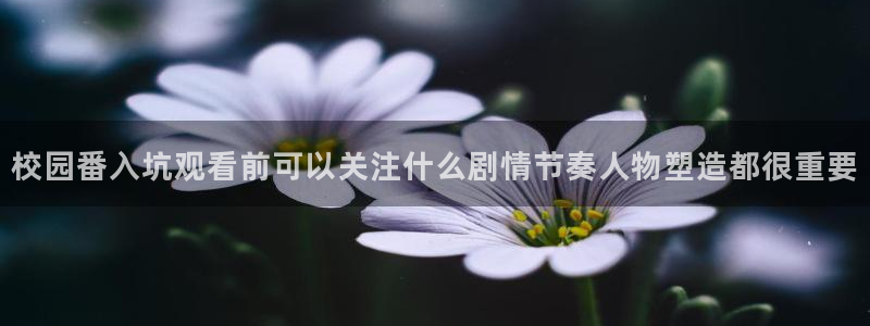 好看动漫推荐