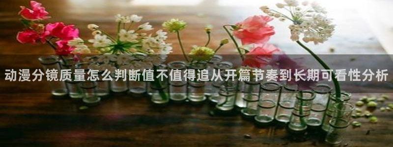 最新动漫大全