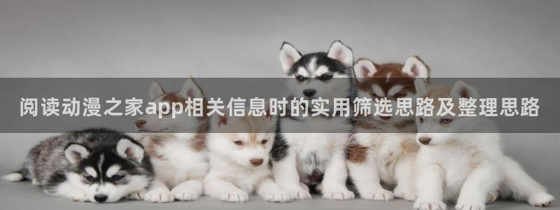动画作品大全:阅读动漫之家app相关信息时的实用筛选思路及整理思路