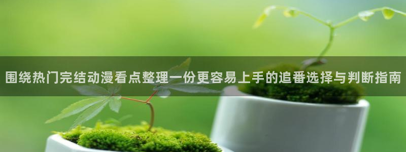 动漫在线观看网站