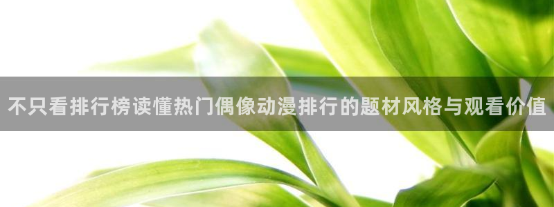 动漫番剧
