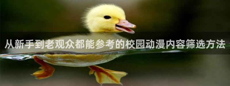 动漫大全网