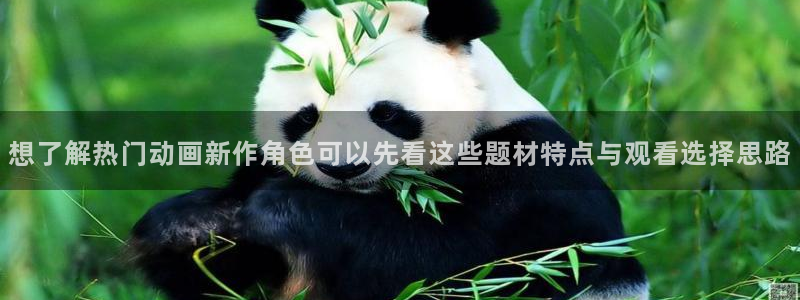 最新新番动漫