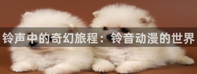 新番动漫大全